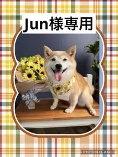 Jun様専用　強運お守り　ポメラニアン柄パネル生地