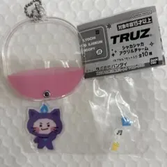 どっかで見たネコ※プロフィール参照様 リクエスト 2点 まとめ商品