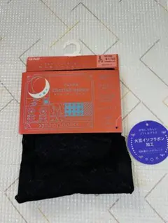 GUNZE Tuche cherish moon サニタリーショーツ Lのサムネイル