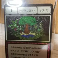 一坪の密林 ハンターハンターグリードアイランドカード - メルカリ
