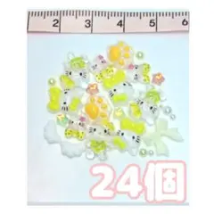 ネイルパーツ24個 / 17