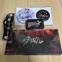 straykidsドームツアーアップグレード特典&silver gold会員特典