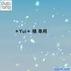 ＊Yui＊ 様 専用