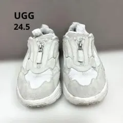 UGG ジッパー付きグレー スニーカー