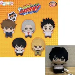 家庭教師ヒットマンREBORN! ちびぐるみ　vol.1 雲雀恭弥　マスコット