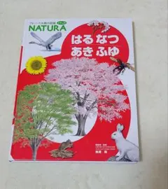 Item thumbnail for item 0544619e-a324-44a0-ae20-afe96ea8d640