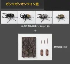 いきもの大図鑑　かぶとむし10 オンライン版　3種セット