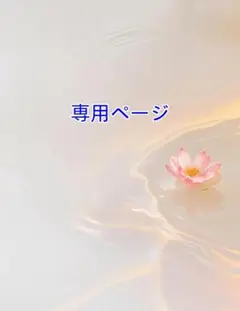 専用ページ