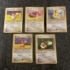 2026年最新】ポケモンカードゲーム コレクションファイル ピカチュウ