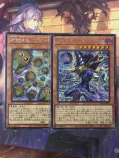 遊戯王 黒魔導のカーテン 王のしもべーブラックマジシャン 増殖するクリボー 王のしもべブラックマジシャン 黒魔導のカーテン 増殖するクリボー