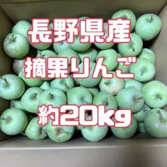 摘果りんご　さんふじ約20kg（箱込み）加工用のサムネイル