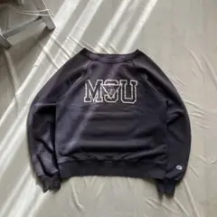 champion /ラグランスウェット フェード カレッジロゴ 袖目 L