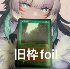 2026年最新】MTG 森の知恵の人気アイテム - メルカリ