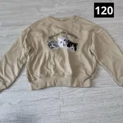 Item thumbnail for item a6172633-aa84-45c7-a967-686c23d376bf