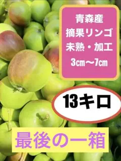 青森産 摘果リンゴ 未熟 加工用 13kgのサムネイル