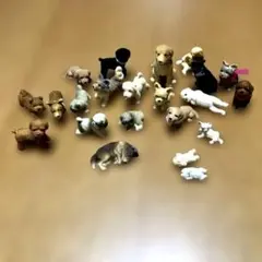 Item thumbnail for item 14331928-0ec8-4ed2-990b-4cebac521ac9