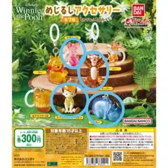 Winnie the Pooh めじるしアクセサリー