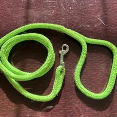 Item thumbnail for item e2a84db8-cc8f-423e-af39-73bf5982b9d6