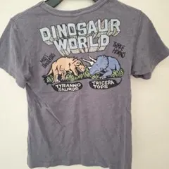 140 FOキッズ 恐竜Tシャツのサムネイル