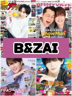 TVガイド ザテレビジョン TVfan TVnavi B&ZAI 雑誌 切り抜き