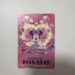 ディズニーリゾート　リゾラ　フリーきっぷ