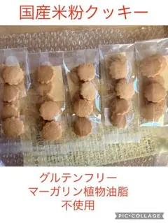 8/9発送サクホロほんとに米粉だけ国産米粉クッキー３０枚のサムネイル
