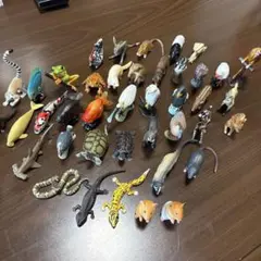 【美品】Furuta チョコエッグ世界おもしろ動物編フィギュアセット 24種 美品】Furuta チョコエッグ世界おもしろ動物編フィギュアセット