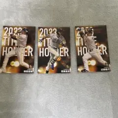 2023 TITLE HOLDER 選手カードセット