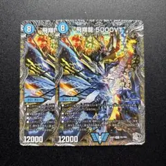 飛翔龍 5000VT 銀トレジャー 2枚