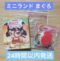 2026年最新】#メロジョイミニランドの人気アイテム - メルカリ