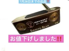 ODYSSEY Ai-ONE GIRAFFE-BEAM DW パターのサムネイル