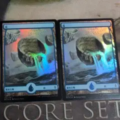 MTG 島　Island Vincent Proce 2枚