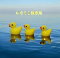コヤンイサムチョン 午後クラスの出席簿 オッドアイ デニムリメイク