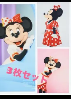 ミニー 写真セット