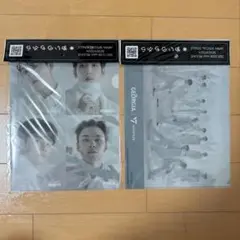 SEVENTEEN セブチ ヒポチ 全員 クリアファイル
