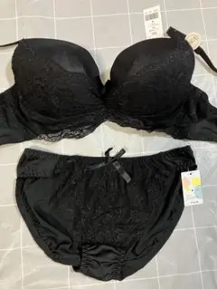 E80L フェアリー　花柄刺繍×レースのブラ＆ショーツセット　ブラック
