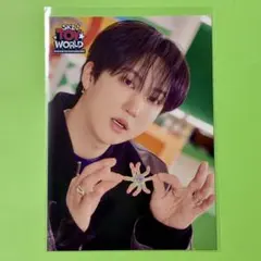チャンビン ラントレ Stray Kids 日本ペンミ TOY WORLD
