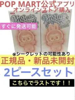 【正規品】THE MONSTERS Big into Energy 2ピース