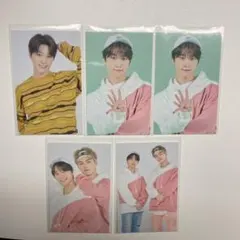 ケレン Caratland トレカ 2020 ディノ バーノン