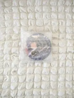 プロセカ あんスタ セガラッキーくじ D賞 漣ジュン