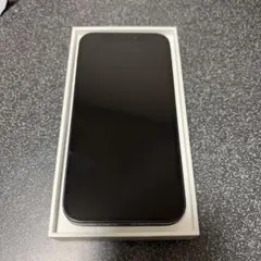 iPhone 12 mini 256GB ブラック 本体