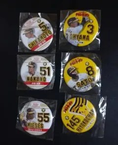 阪神×日清 コラボ 缶バッジ 全6種　コンプ
