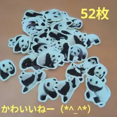 Item thumbnail for item 56530fb1-fbd2-47a2-8051-71ed50149ff6