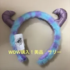 WDW Disney Parks サリー カチューシャ モンスターズインクのサムネイル