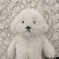 犬記録 ぬいぐるみ マスコット