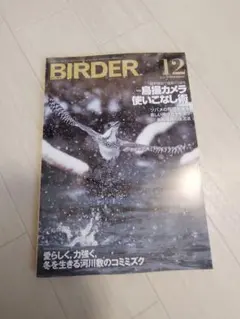BIRDER 2025.12最新号！