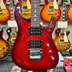 Washburn エレキギター 紫 STEAVE SARAS シグネチャーモデル - メルカリ