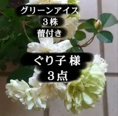 ぐり子様 リクエスト 3点 まとめ商品