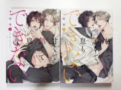 甘くて熱くて息もできない　1巻2巻セット
