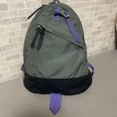 GREGORY × BEAMS別注CLASSIC DAYPACKBACKPACKのサムネイル